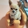 Hiroeさんのプロフィール画像
