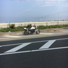 海ネコさんのプロフィール画像