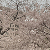 salaooさんのプロフィール画像