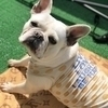 もんたさんのプロフィール画像