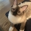 ミツル