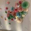 mayさんのプロフィール画像
