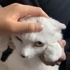カットニスさんのプロフィール画像