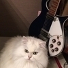 リリーさんのプロフィール画像