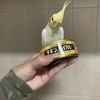 ふるのさんのプロフィール画像