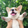 らららんどさんのプロフィール画像