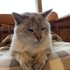 りょう さんのプロフィール画像