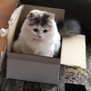 (o^^o)mkさんのプロフィール画像
