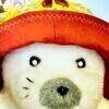 山猫さんのプロフィール画像