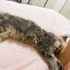 erkさんのプロフィール画像