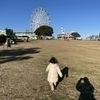 yuta8764さんのプロフィール画像