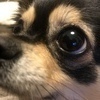 だんさんのプロフィール画像