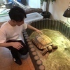 まさやんさんのプロフィール画像