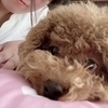sachiさんのプロフィール画像