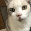 Anzuuuさんのプロフィール画像