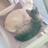 PONZUKKOさんのプロフィール画像