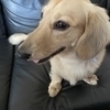 リョウさんのプロフィール画像