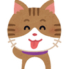 ちゃんりょうさんのプロフィール画像