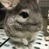 jimokoさんのプロフィール画像