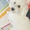 Nappyさんのプロフィール画像