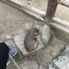DAIさんのプロフィール画像