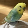 リコさんのプロフィール画像