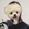 ちゃむちさんのプロフィール画像