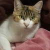natsuさんのプロフィール画像
