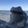 ノブさんのプロフィール画像