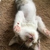うたさんのプロフィール画像