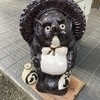 にゃい太さんのプロフィール画像
