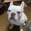政弘さんのプロフィール画像