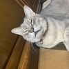 サトシさんのプロフィール画像