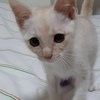 テツさんのプロフィール画像