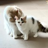 manaさんのプロフィール画像