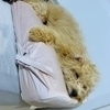 KENさんのプロフィール画像
