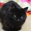 モカさんのプロフィール画像