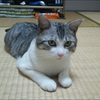 かりんさんのプロフィール画像