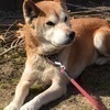 ハルナさんのプロフィール画像