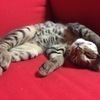 MEEさんのプロフィール画像