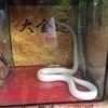 リョウさんのプロフィール画像
