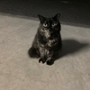 pontaさんのプロフィール画像