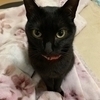 すずちゃんママさんのプロフィール画像