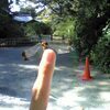 メガネままさんのプロフィール画像