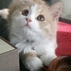 マロマロさんのプロフィール画像