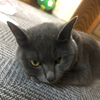 yamayamaさんのプロフィール画像