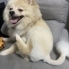 kaiさんのプロフィール画像