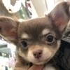 Kazekiyoさんのプロフィール画像