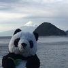 ぐーたらぱんださんのプロフィール画像