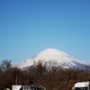 Toruさんのプロフィール画像